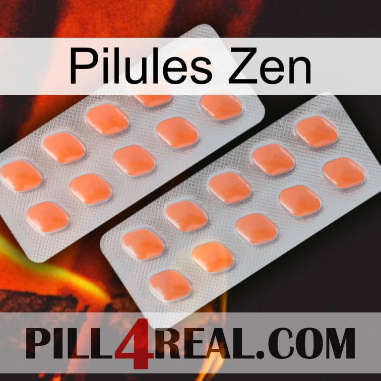 Zen Pills 27
